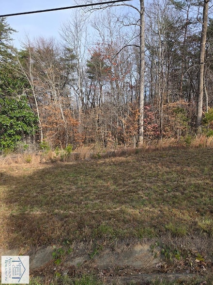 0 Stones Dairy Rd Unit 144257, Bassett, VA 24055