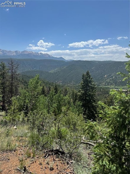 8743 High Mark Point, Woodland Park, CO 80863