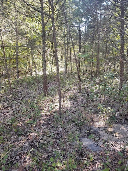 0 Rue Celeste Unit 23042099, Bonne Terre, MO 63628