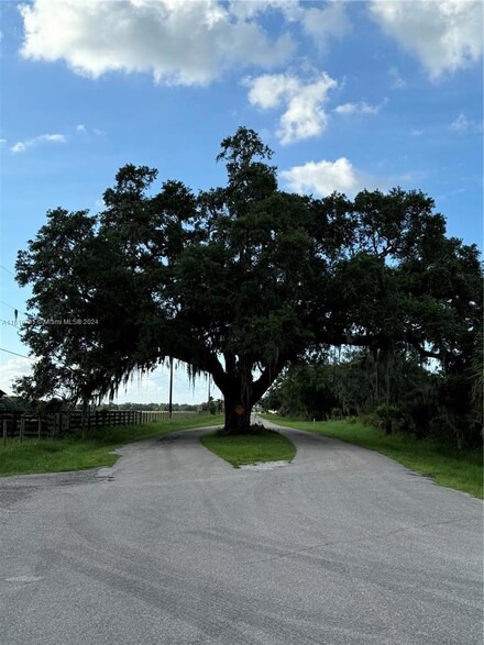 1451 Coffee Mill Hammock Rd, Moore Haven, FL 33471