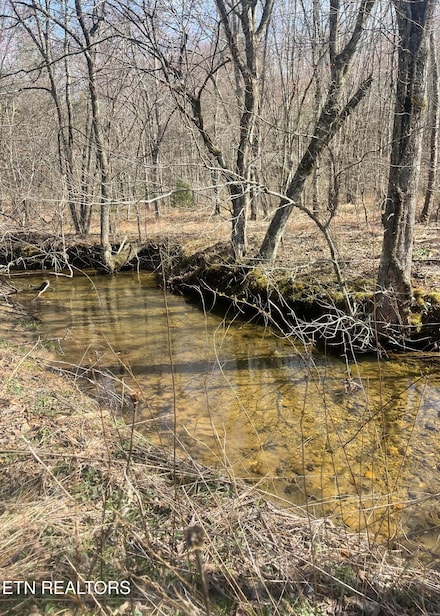 0 Tilley Rd Unit 1294258, Tellico Plains, TN 37385