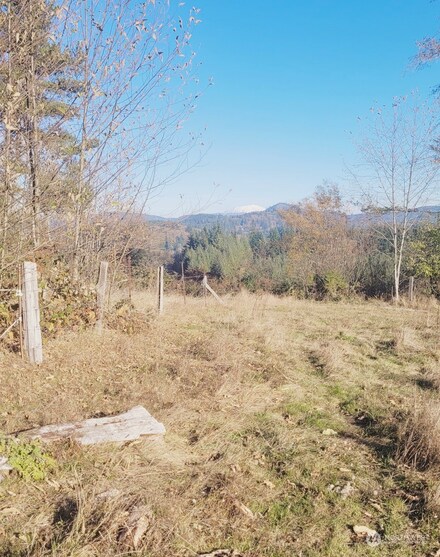 2780 Mount Pleasant Rd, Kelso, WA 98626