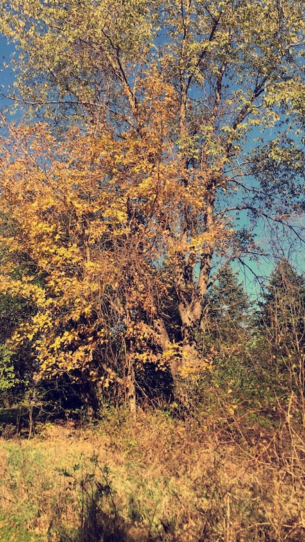 Lt0 Lakeview Rd, West Bend, WI 53090