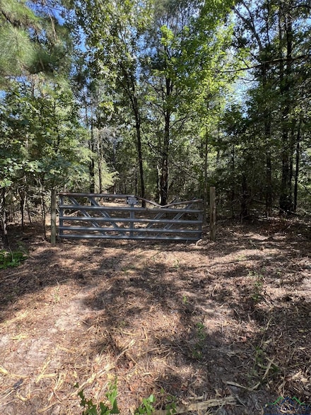 0001 County Road 1628 Unit Tract 1, Linden, TX 75563