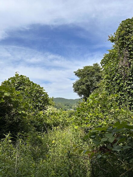 Lot 13 Skyline Dr, Murphy, NC 28906