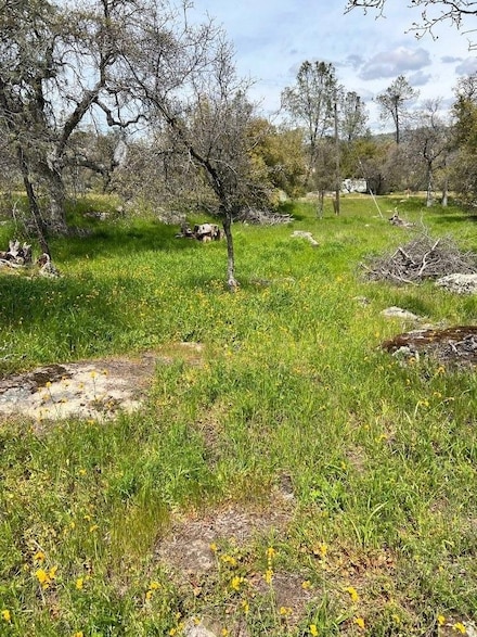 0 John Muir Dr Unit 625326, Coarsegold, CA 93614