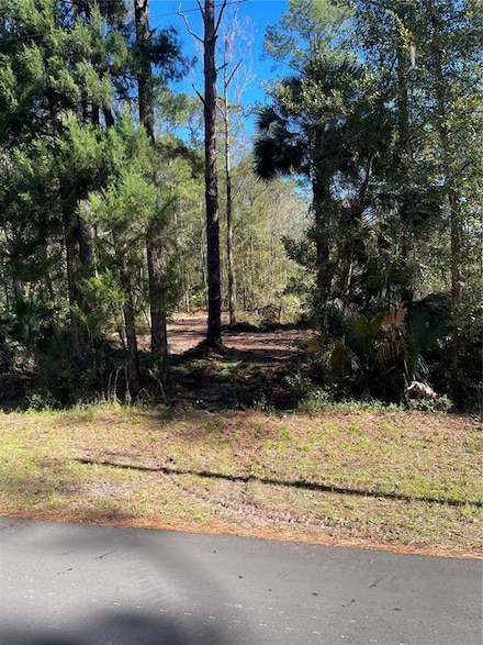 0 3rd St Unit V4923126, Astor, FL 32102