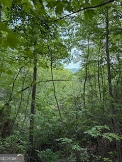 LOT SM4 Raven Fork Trail, Dillard, GA 30537