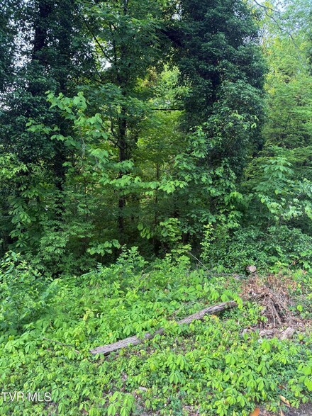 Lot 16 Ashley St, Kingsport, TN 37664