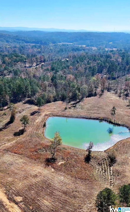 0 Gilberts Ferry Rd, Ohatchee, AL 36271