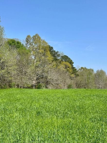 0 County Road 187, Philadelphia, MS 39350