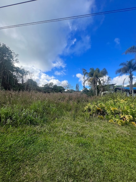 18-1268 Hawaii St, Mountain View, HI 96771
