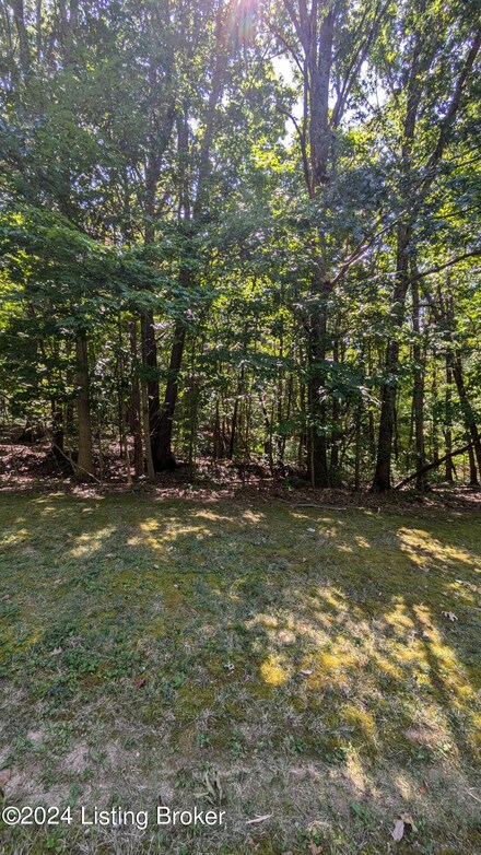 17403 Creek Run Dr, Louisville, KY 40245