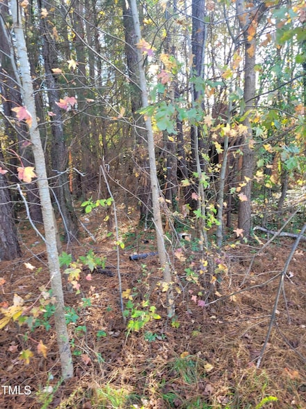 4229 Hilltop Needmore Rd, Fuquay-Varina, NC 27526