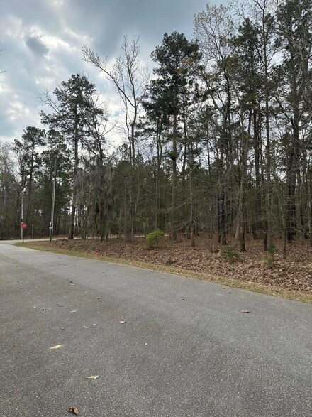 0 Breezewood Unit 24009035, Elloree, SC 29047