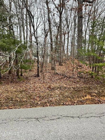 233 St George Dr, Fairfield Glade, TN 38558