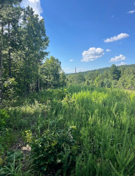 Tract 3 SE 1083 Road Ave, Red Oak, OK 74563