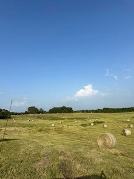 0 Tbd Hwy E, Norwood, MO 65717