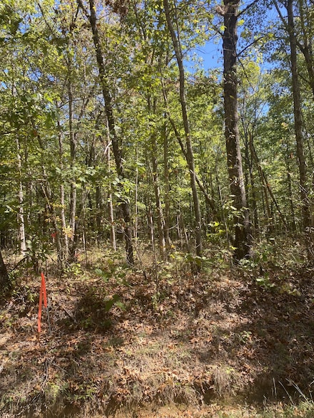 4 Laurel Lake Dr, Monteagle, TN 37356