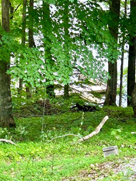 3680 Pea Ridge Rd, Scottsville, KY 42164