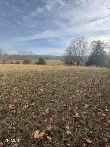 1003 Borowood Ct, Jonesborough, TN 37659