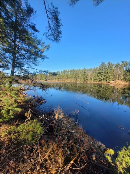 0 Lower Lake Dr, Merrillan, WI 54754