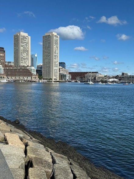 65 E India Row Unit 18C, Boston, MA 02110