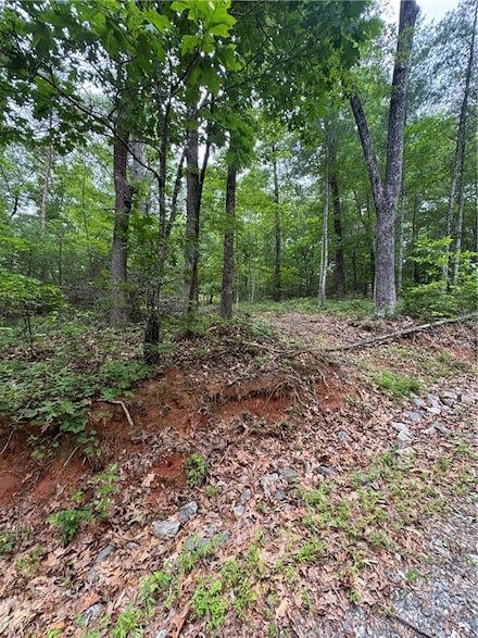 0 Nimblewill Creek Rd Unit 7592435, Dahlonega, GA 30533