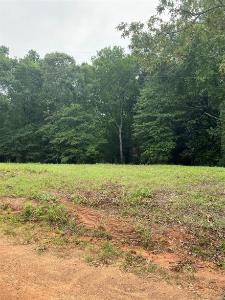 0 Ice Plant Rd, Tallassee, AL 36078