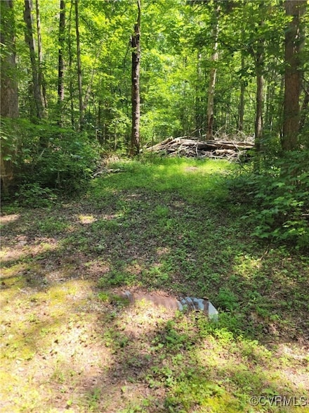 000 Ellis Dr, Maidens, VA 23102