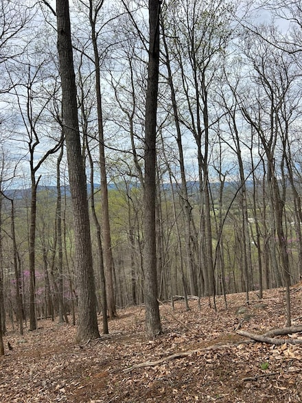 25 Crane Dr, Monroe, VA 24574