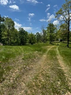 Tracts 3&4 State Highway 90, Noel, MO 64854