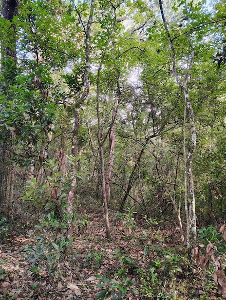 0 NE 717th St, Old Town, FL 32680