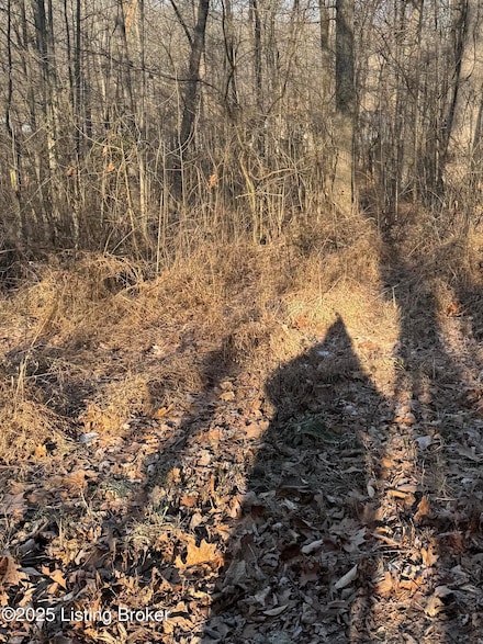 25 Tules Landing Ln, McDaniels, KY 40178
