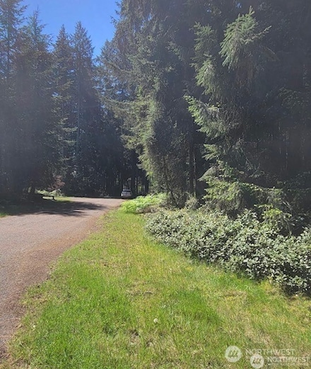 10308 106th Avenue Ct, Anderson Island, WA 98303