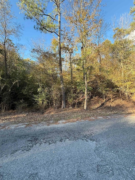 0 Co Rd 518 Unit 525704, Hanceville, AL 35077