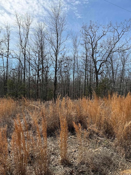 43 Megan Ln, Conway, AR 72032