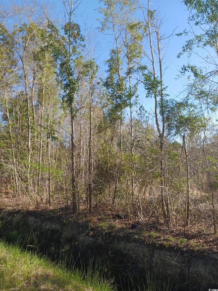 TBD Fowler School Rd, Green Sea, SC 29545