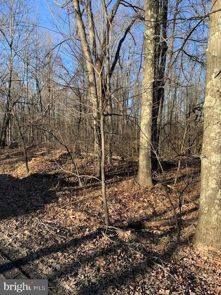 0 Little Wolf Rd, Snow Shoe Township, PA 16829
