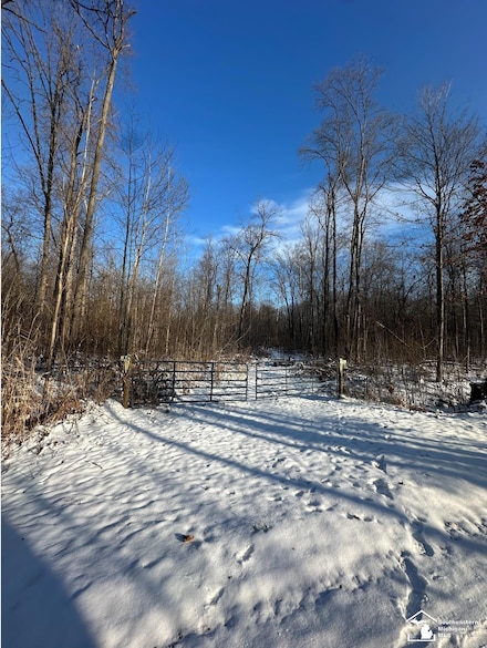 0 Hivon Rd, Maybee, MI 48159