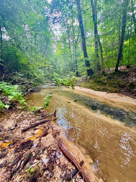 0 Highway 195, Double Springs, AL 35553