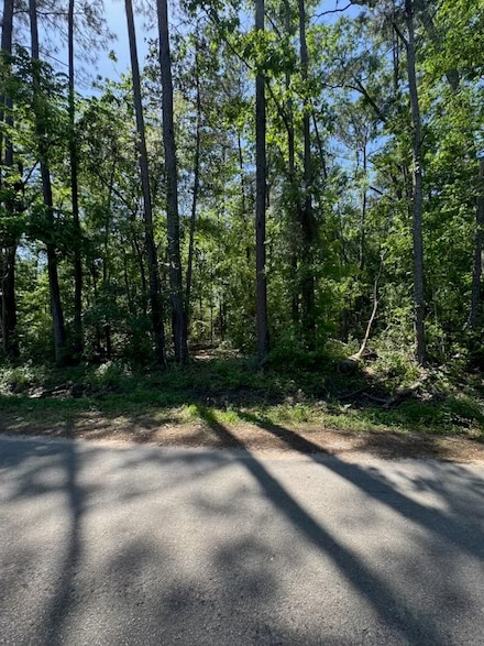 166 County Road 3475, Cleveland, TX 77327