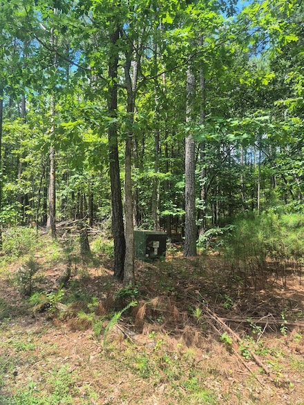627 Hixburg Rd Unit 5B, Prospect, VA 23960