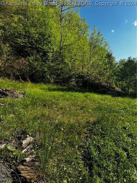 38 Osborne Dr, Turtle Creek, WV 25203