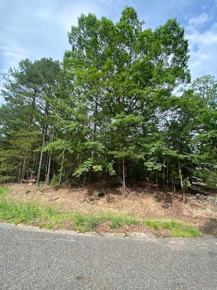 102 Salvatierra Way, Hot Springs Village, AR 71909