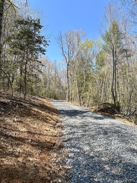 2.40 E New Hope Rd, Ellijay, GA 30536