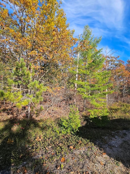 V/L 0.38 A Highland Pines Rd, Presque Isle Township, MI 49777