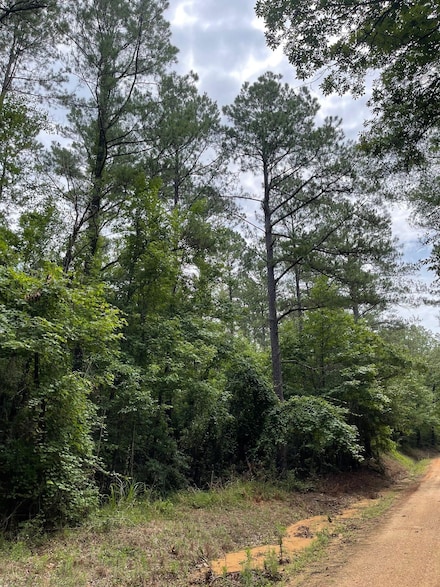 17796 Dry Branch Loop, Northport, AL 35475