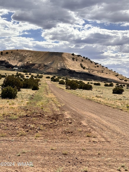 58C Thorn Ln, Concho, AZ 85924