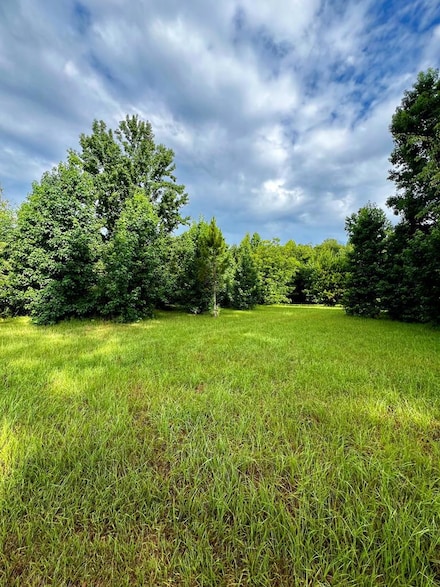 00 Shady Grove Church Rd, Dublin, GA 31021
